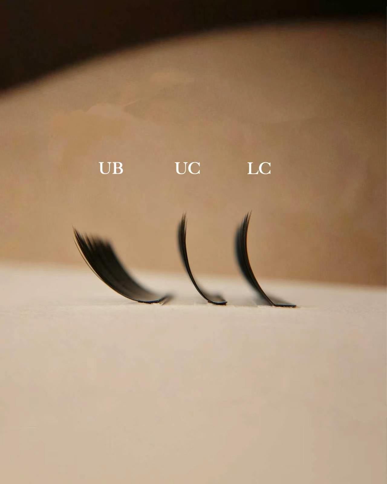 UB 0.07 Camellia (Mix Tray)