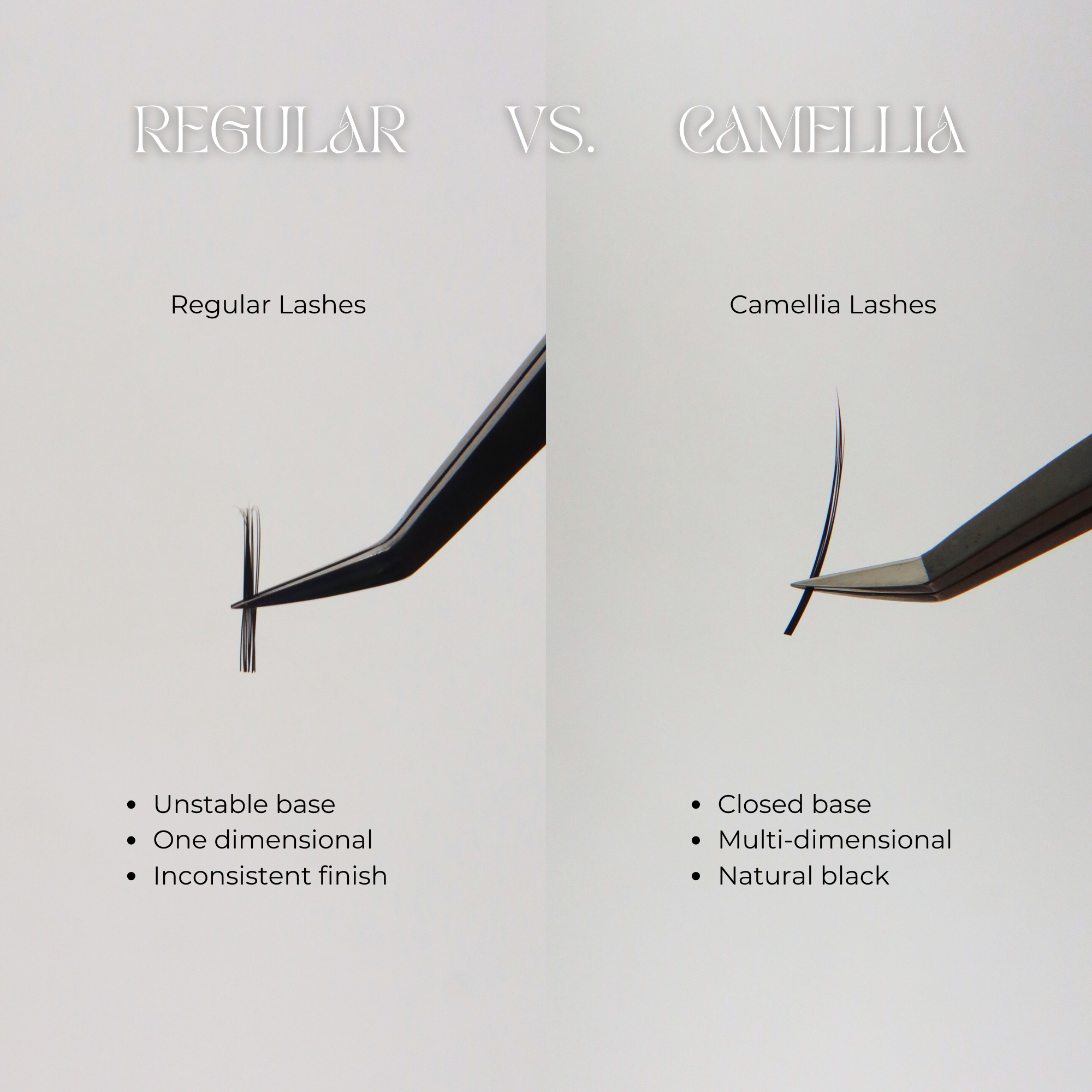 C 0.07 Camellia (Single Tray)