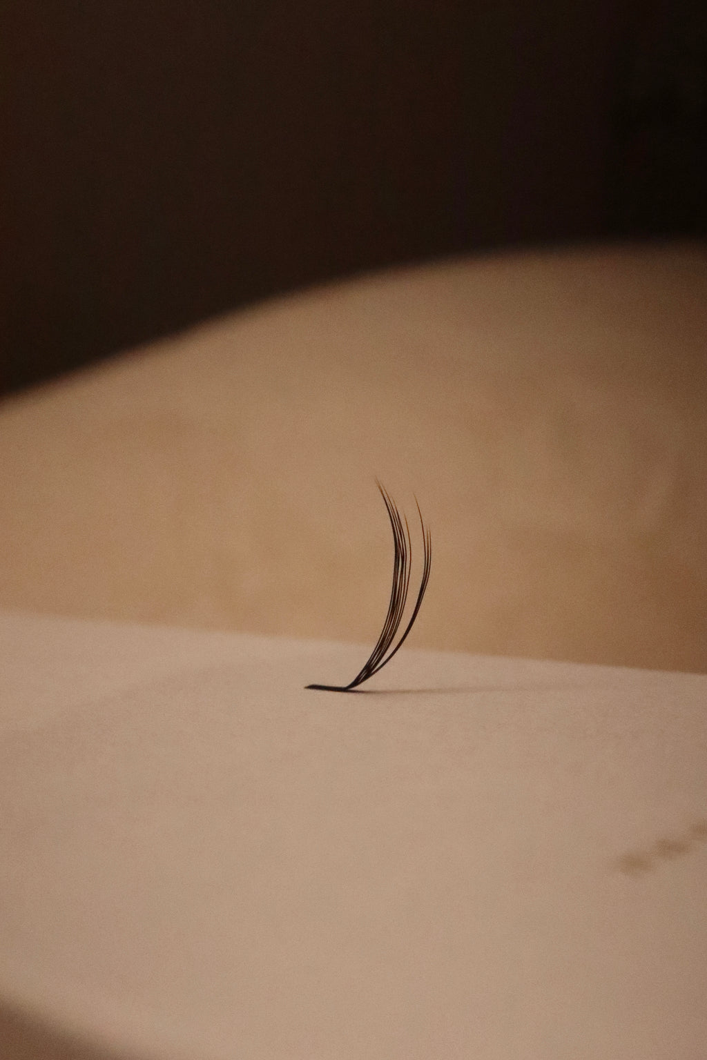 *NEW* LC Multi-layer Fan (Mix Tray)