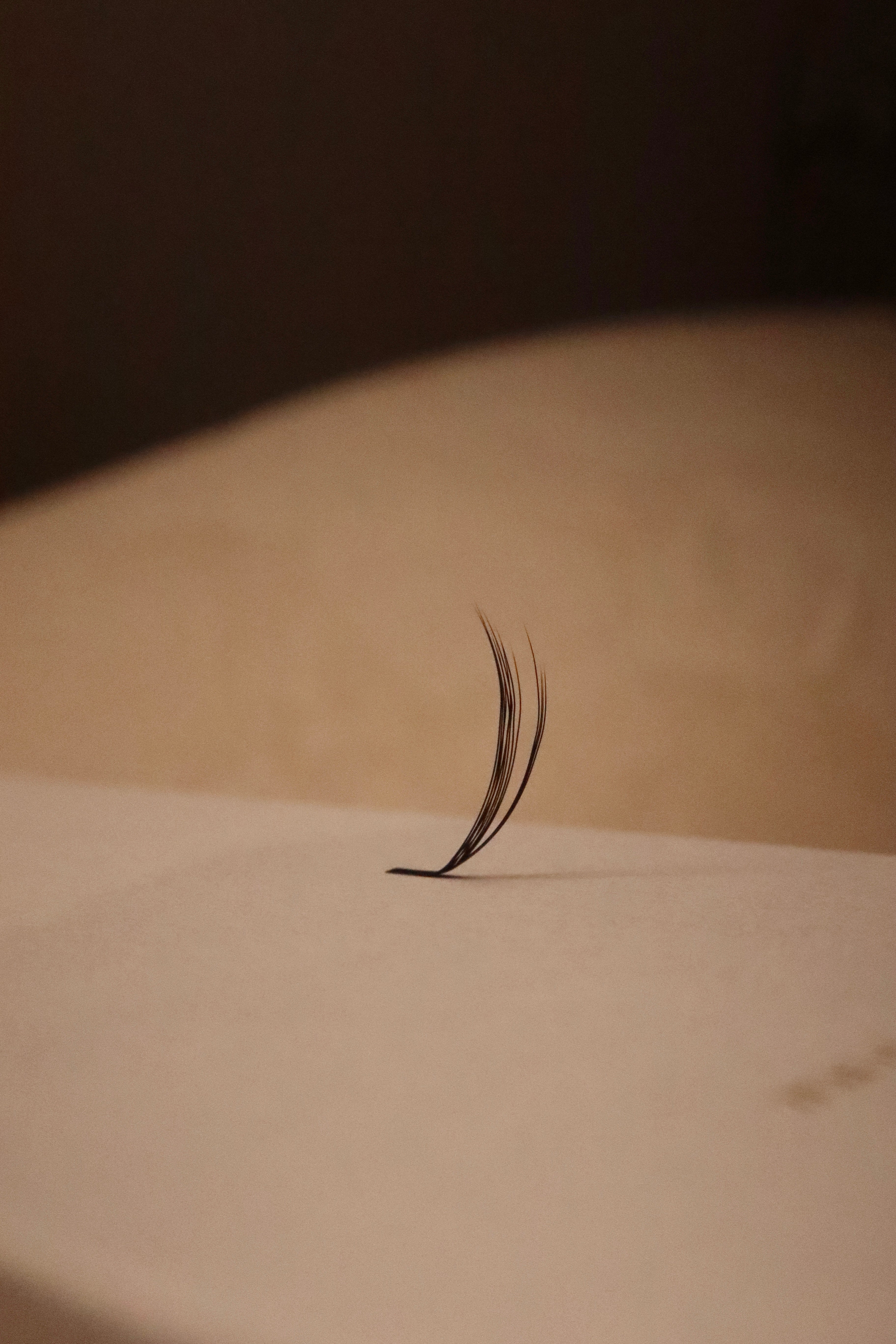 *NEW* LC Multi-layer Fan (Mix Tray)