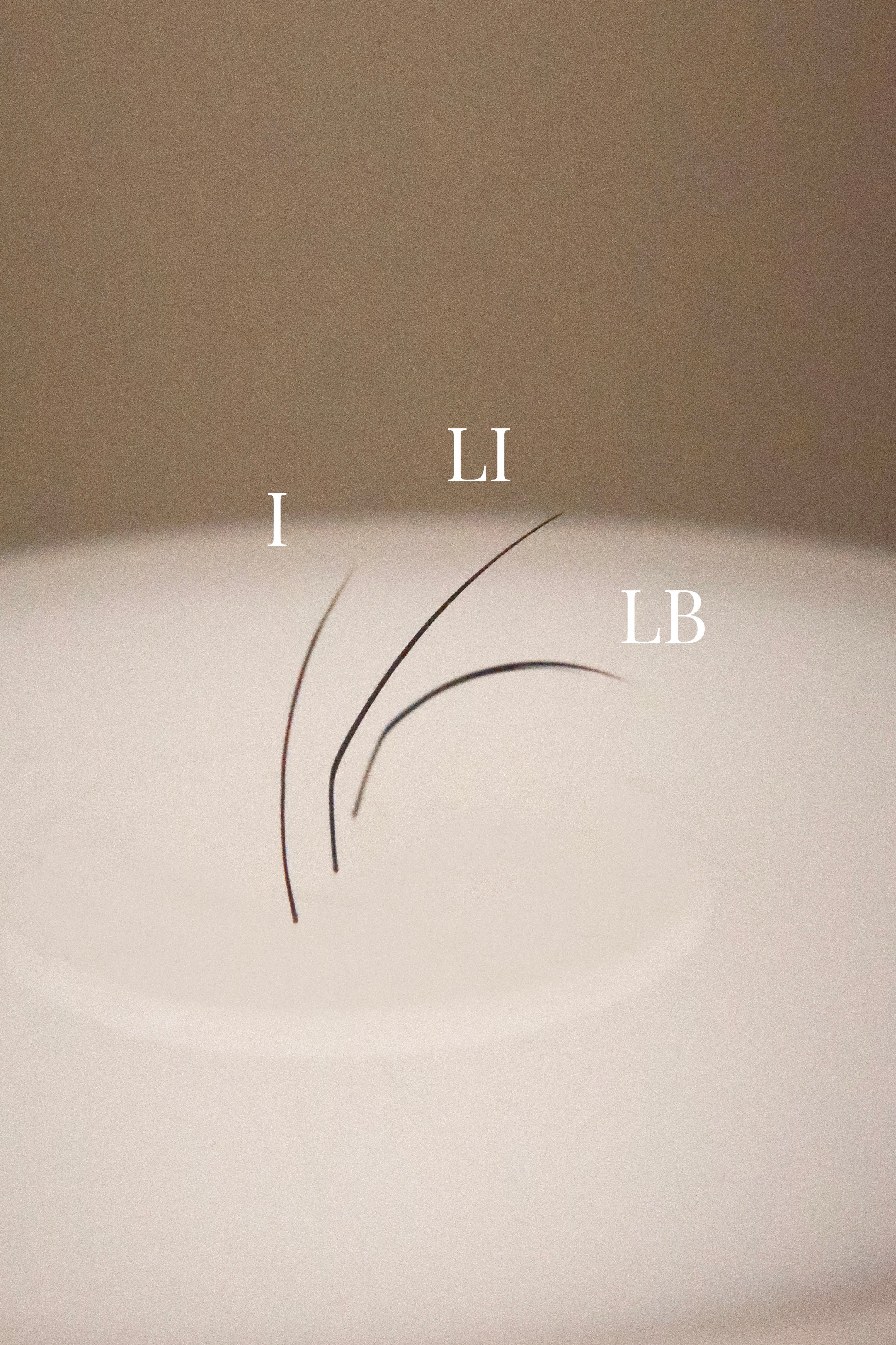 *NEW* LI Bottom Lash (Mix Tray)