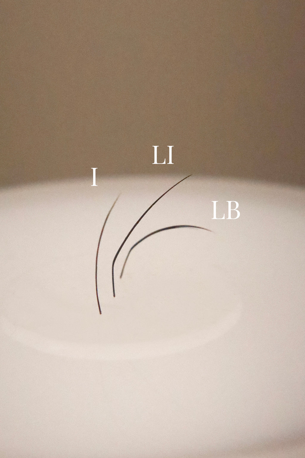 Winewood LI Bottom Lash