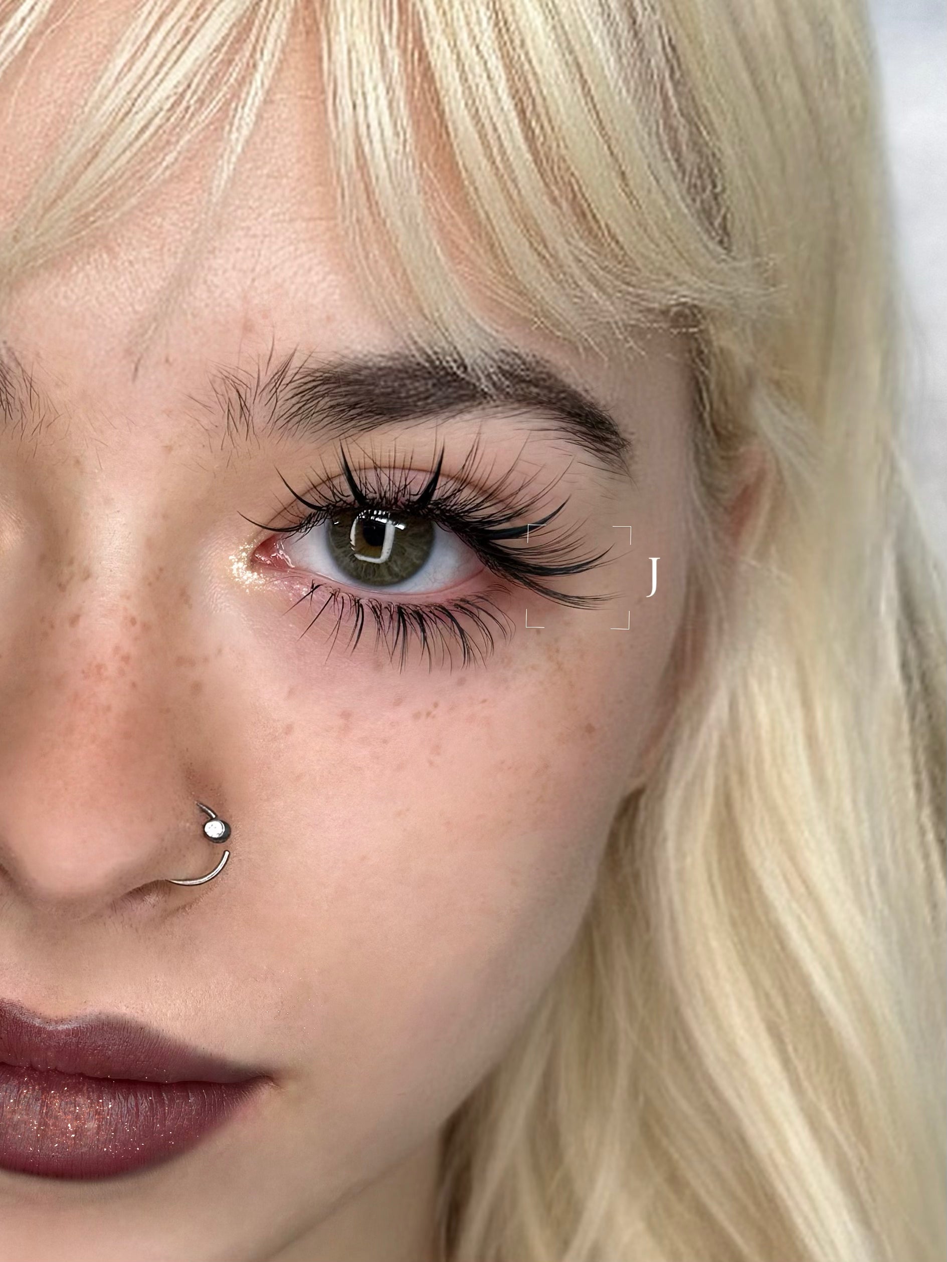 J 0.07 Camellia (Single tray)