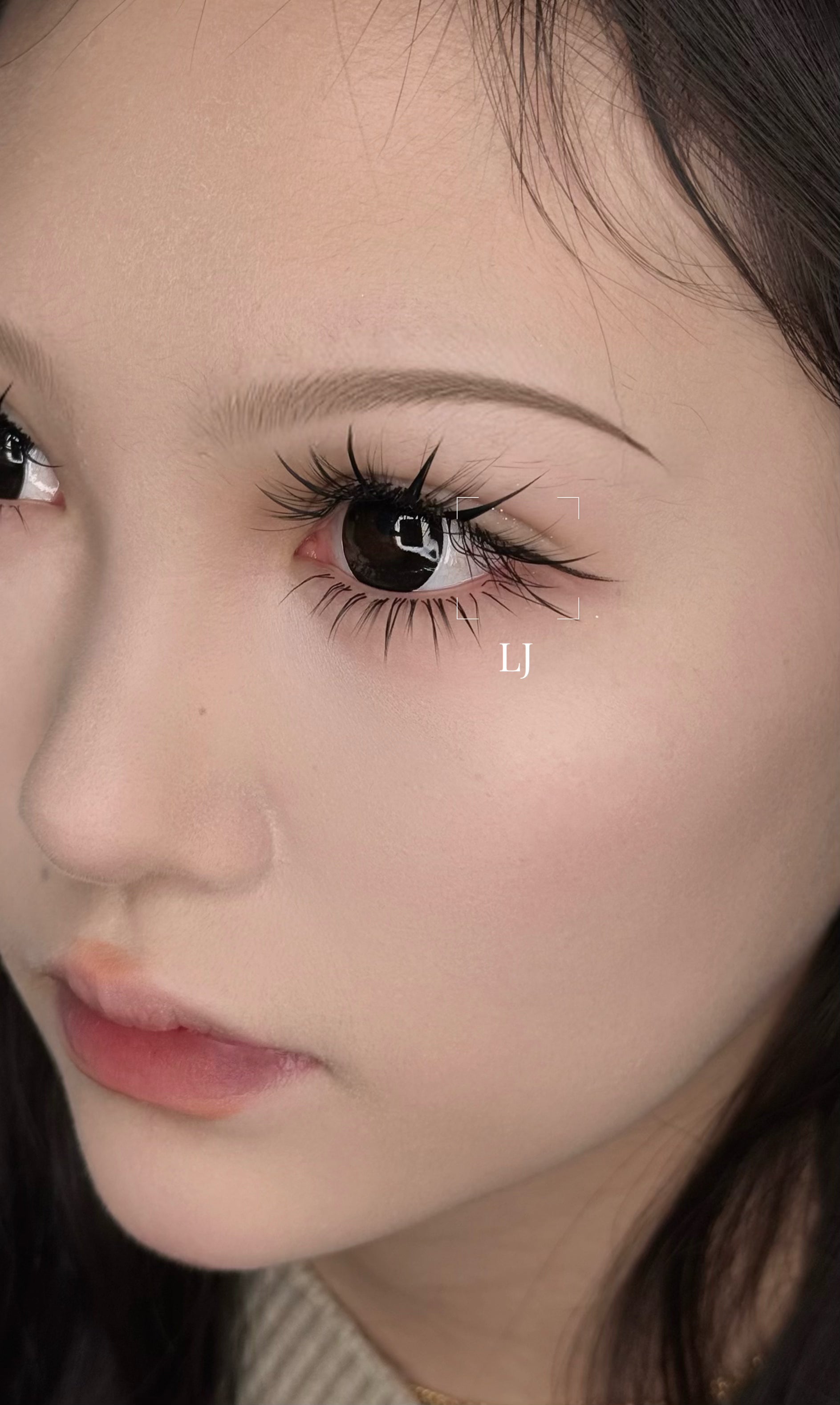 LJ 0.07 Camellia (Mix tray)