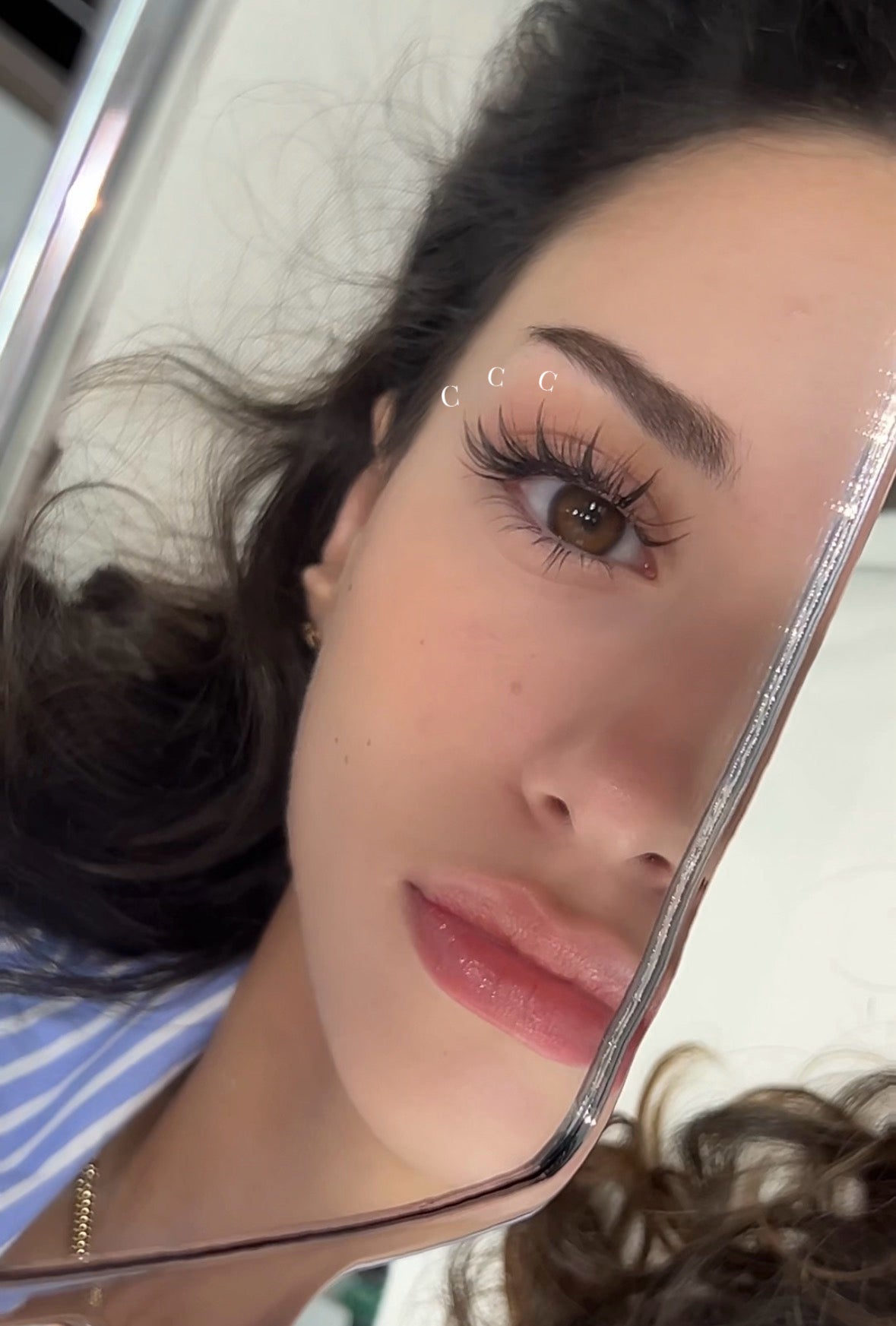 C 0.07 Camellia (Single Tray)