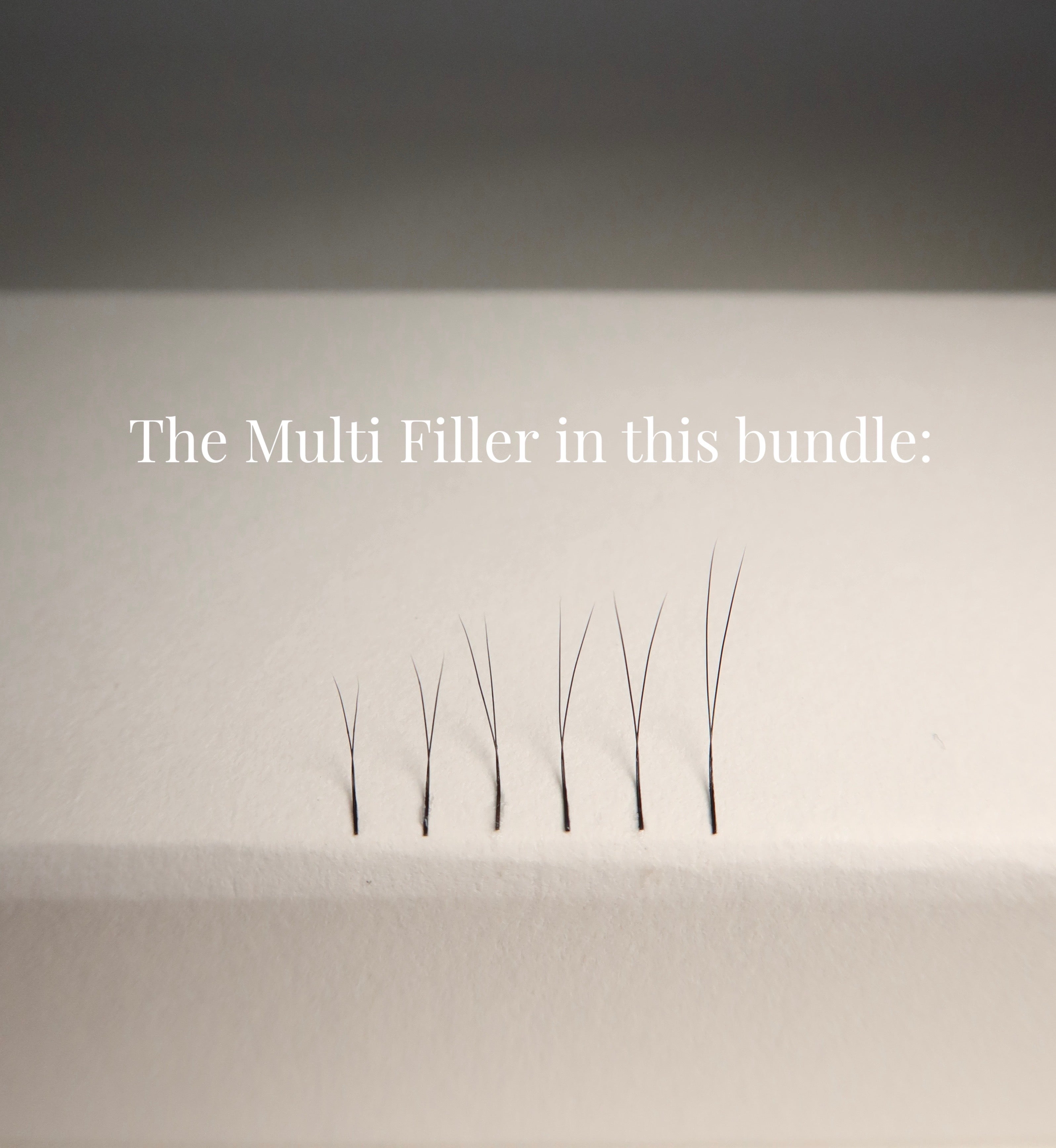 'The Dark Siren' Manhua Bundle