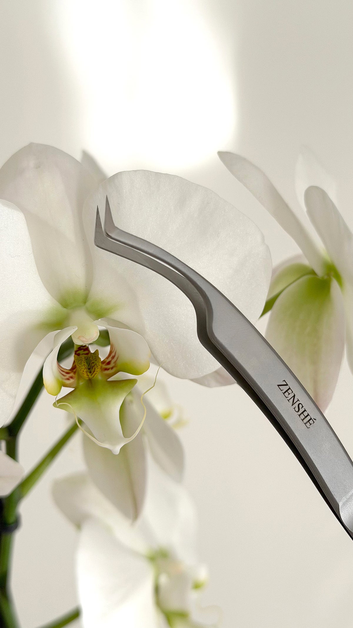 T-2 Manhua Tweezer